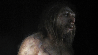 Scientists discover mystery human species